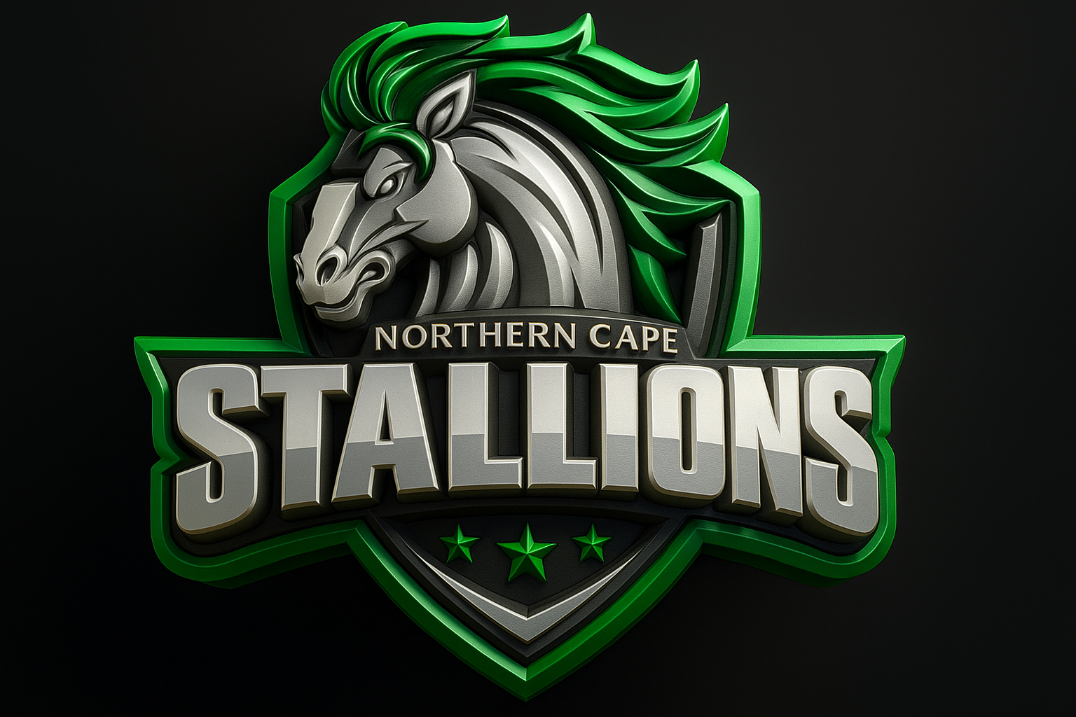 Northern Cape Stallions logo