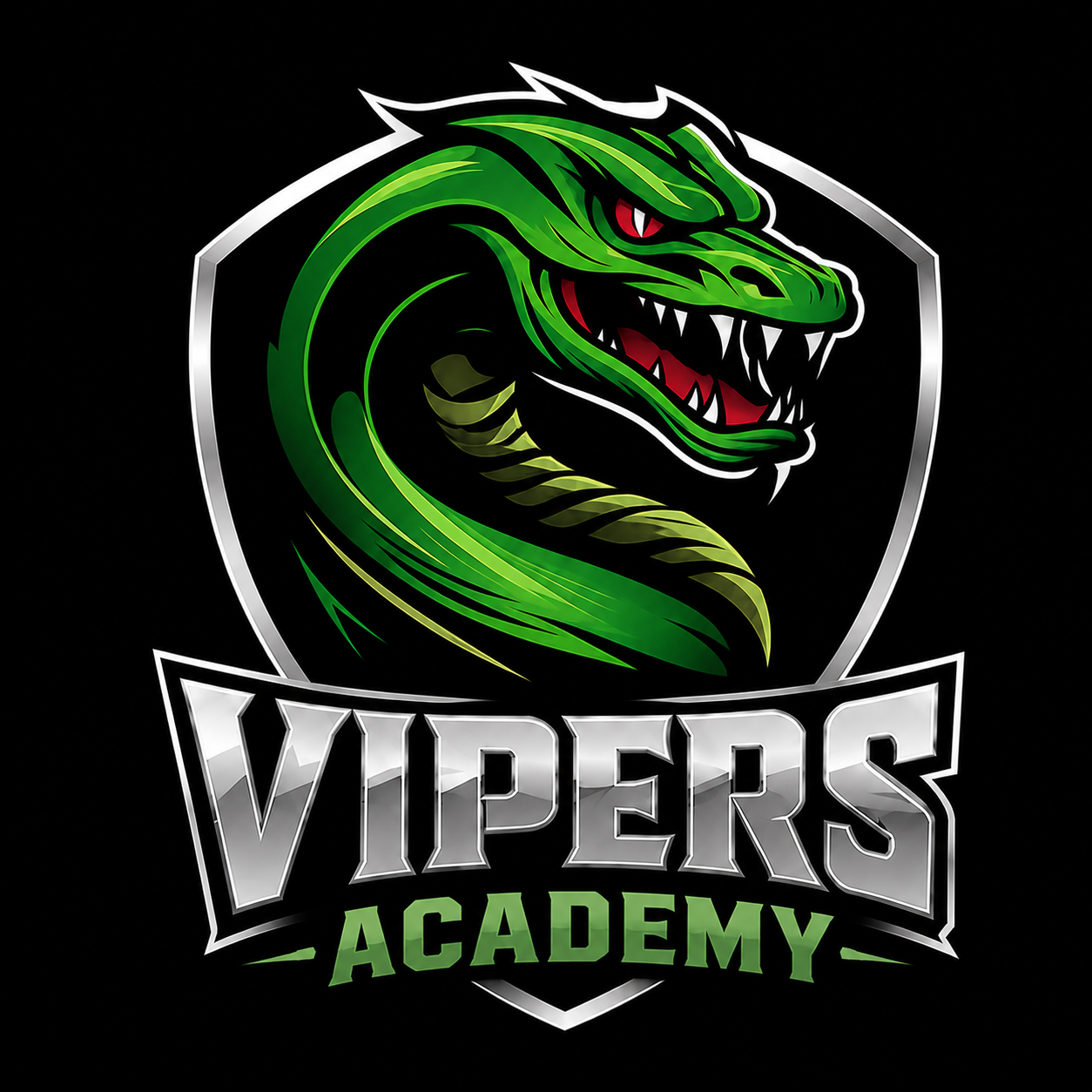 Vipers Academy logo